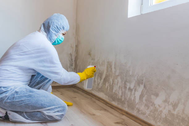 Crawl Space Mold Remediation treatment of floor joists in Cologne